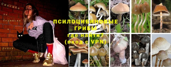 кокс Абдулино