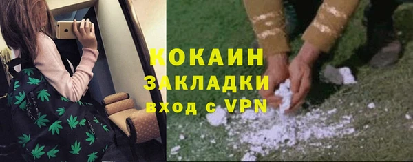 PSILOCYBIN Абаза
